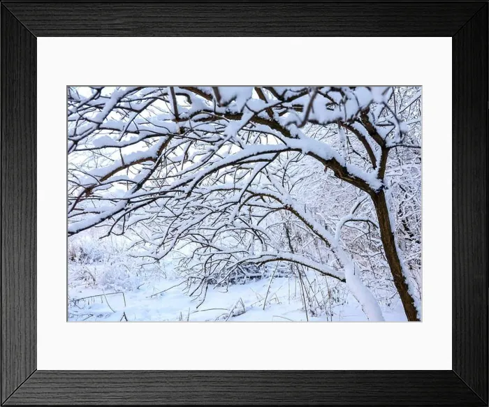 Framed Print : 2s3dn9e Framed Print : 2s3dn9e