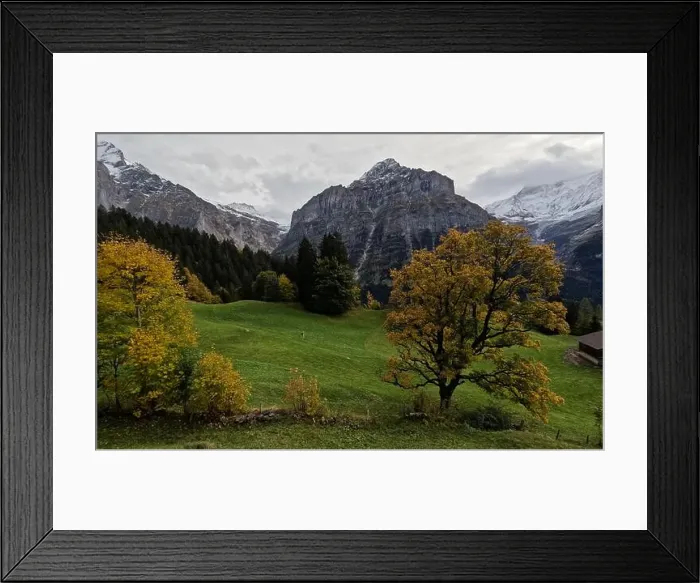 Framed Print : 2s3fxyn Framed Print : 2s3fxyn