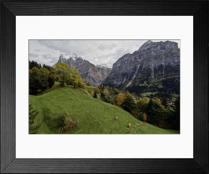 Framed Print : 2s3fy34 Framed Print : 2s3fy34