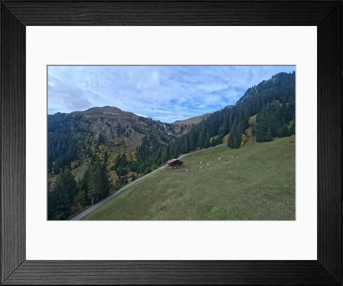 Framed Print : 2s3fy36 Framed Print : 2s3fy36