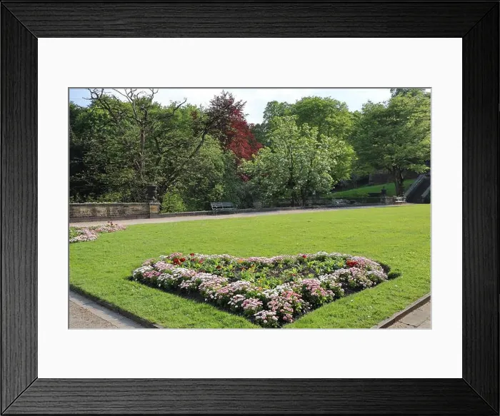 Framed Print : 2s3g6xm Framed Print : 2s3g6xm