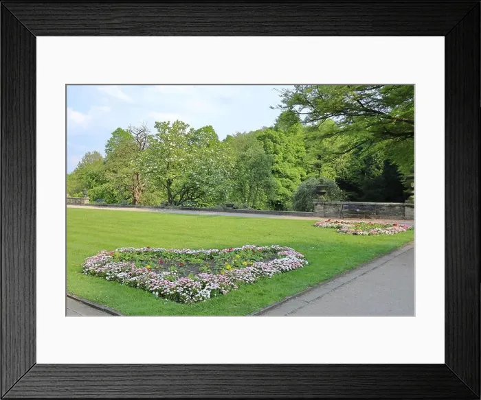Framed Print : 2s3g6xr Framed Print : 2s3g6xr