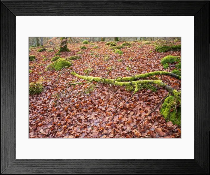 Framed Print : 2s3h012 Framed Print : 2s3h012