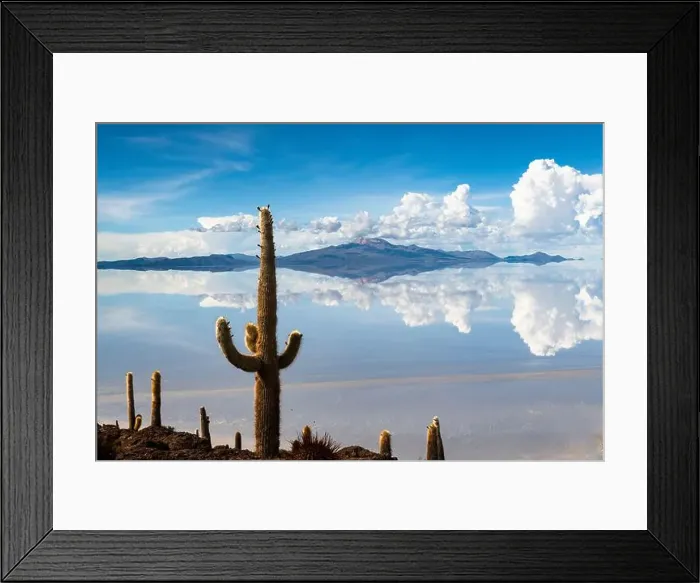 Framed Print : 2s3hkbb Framed Print : 2s3hkbb