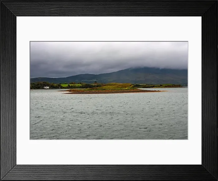 Framed Print : 2s450dn Framed Print : 2s450dn