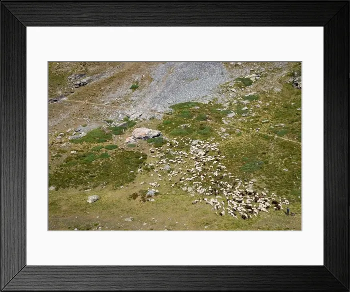 Framed Print : 2s457xp Framed Print : 2s457xp
