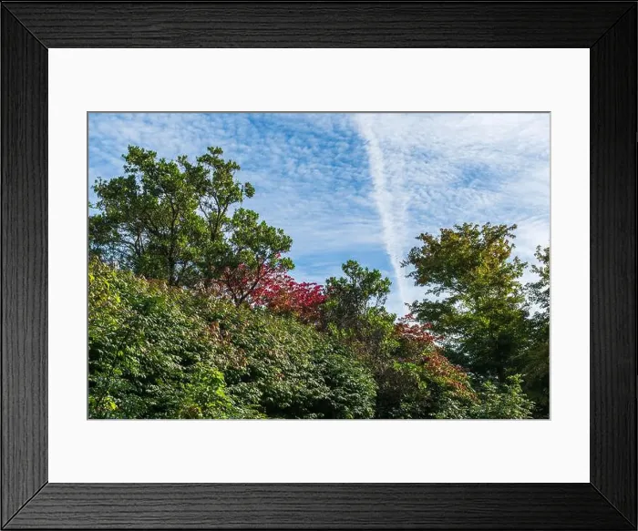 Framed Print : 2s45r55 Framed Print : 2s45r55
