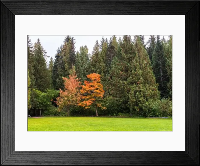 Framed Print : 2s45r9x Framed Print : 2s45r9x