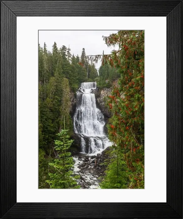 Framed Print : 2s45ra1 Framed Print : 2s45ra1