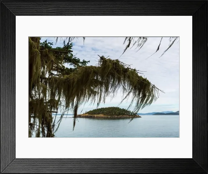 Framed Print : 2s45wpj Framed Print : 2s45wpj
