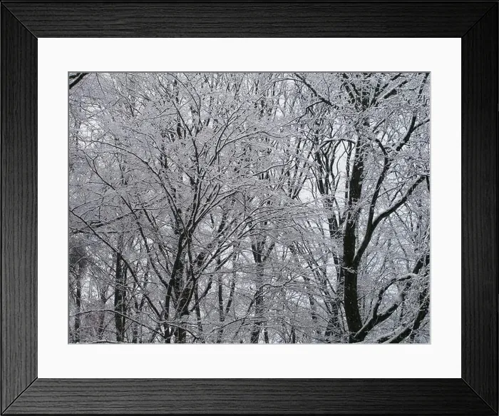 Framed Print : 2s4dbd1