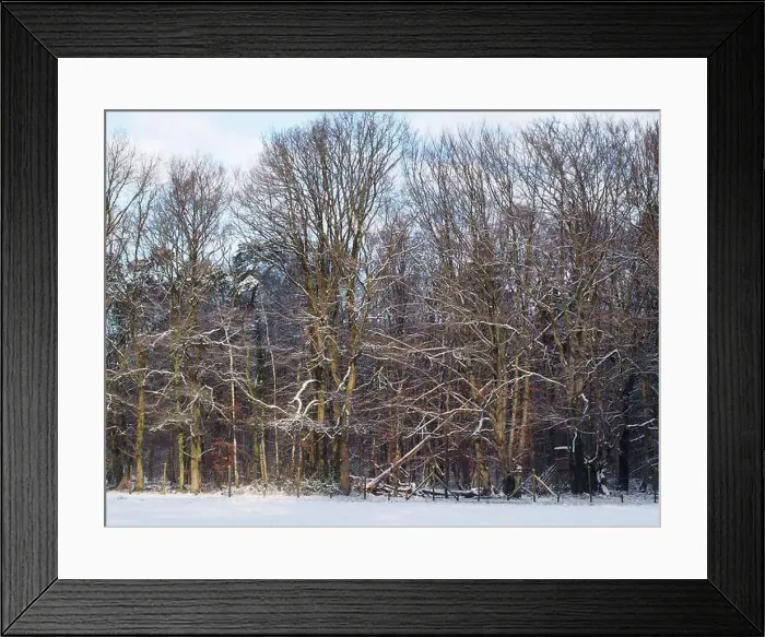 Framed Print : 2s4dbd9 Framed Print : 2s4dbd9