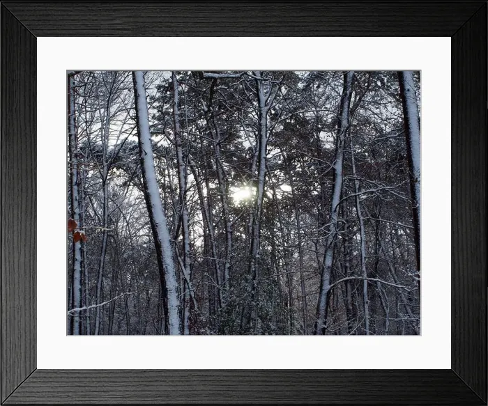 Framed Print : 2s4dbdg Framed Print : 2s4dbdg