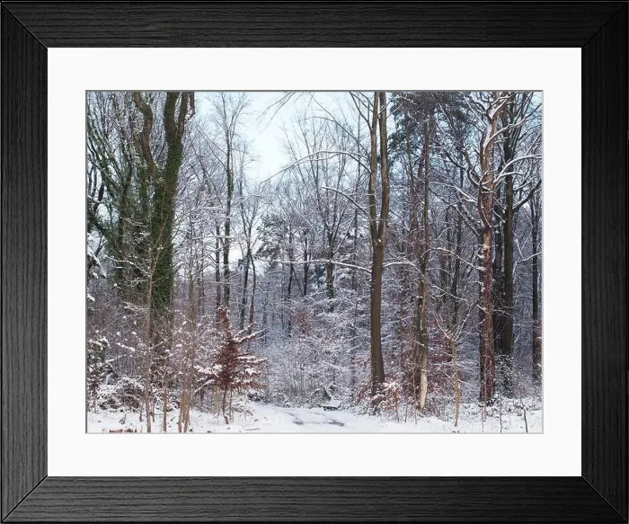 Framed Print : 2s4dbf6 Framed Print : 2s4dbf6