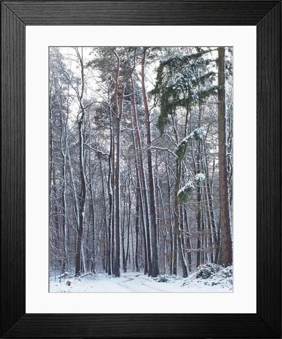 Framed Print : 2s4dbfe Framed Print : 2s4dbfe