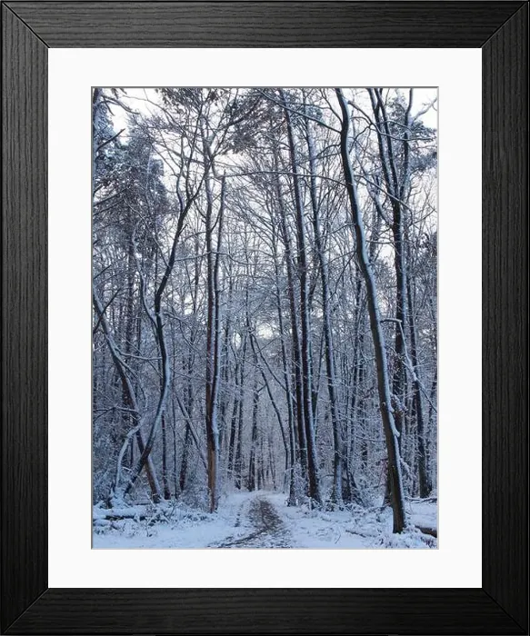 Framed Print : 2s4dbg5 Framed Print : 2s4dbg5