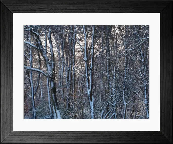 Framed Print : 2s4dbhw