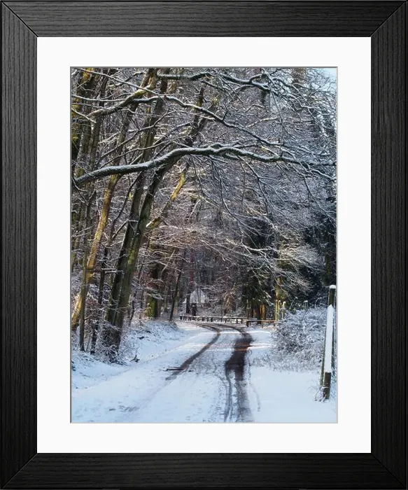 Framed Print : 2s4dbj5 Framed Print : 2s4dbj5