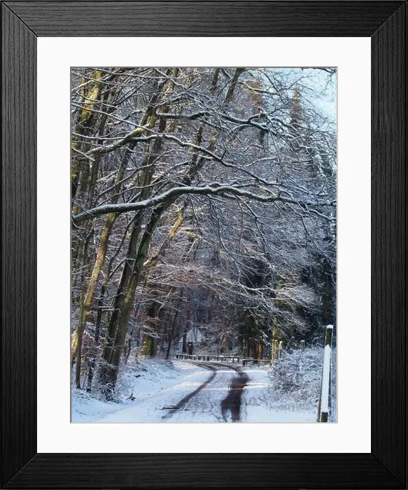Framed Print : 2s4dbkr Framed Print : 2s4dbkr