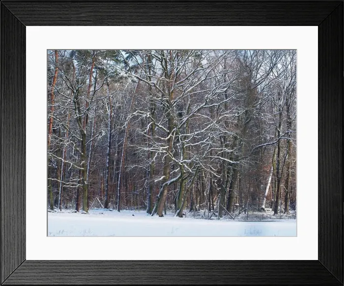 Framed Print : 2s4dbmb Framed Print : 2s4dbmb