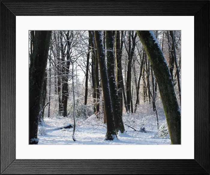 Framed Print : 2s4dbp8 Framed Print : 2s4dbp8