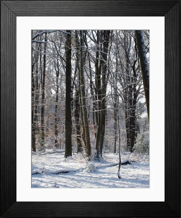 Framed Print : 2s4dbpp
