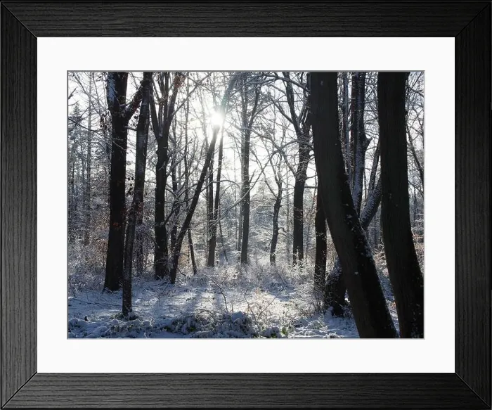 Framed Print : 2s4dbr1 Framed Print : 2s4dbr1