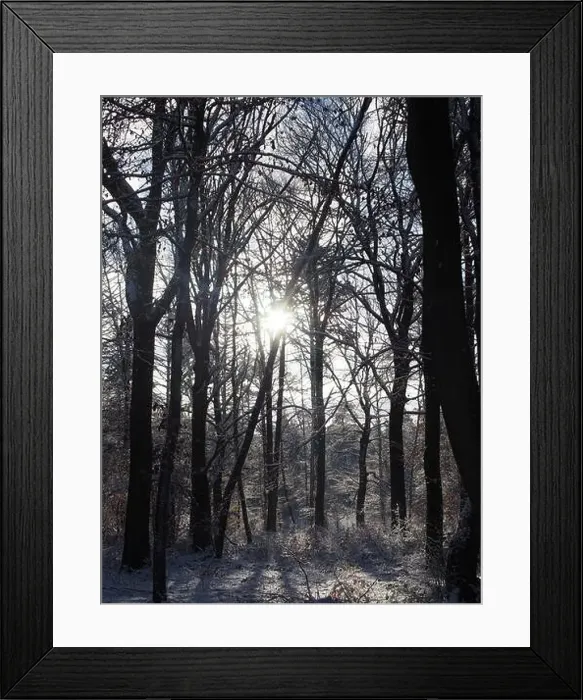 Framed Print : 2s4dbwk Framed Print : 2s4dbwk