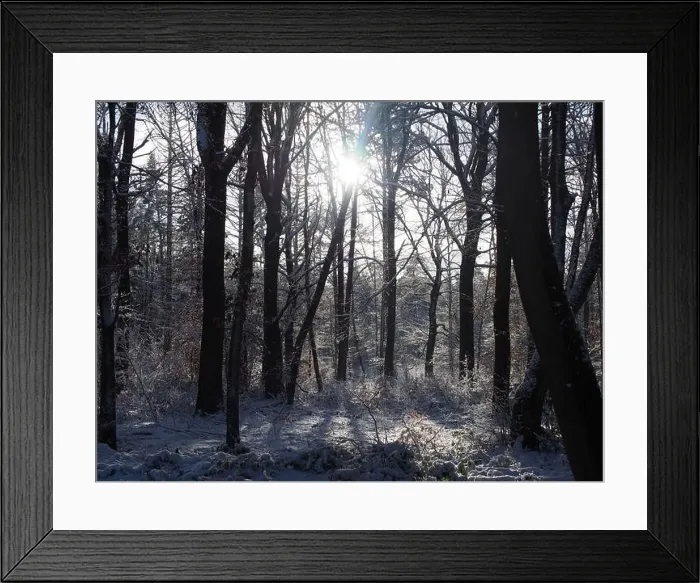 Framed Print : 2s4dbx7
