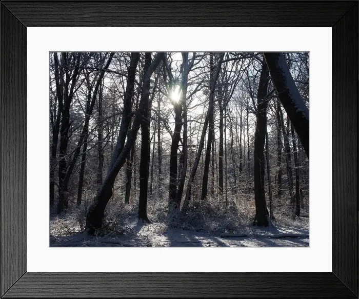 Framed Print : 2s4dbxw Framed Print : 2s4dbxw