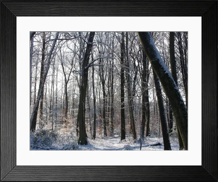 Framed Print : 2s4dc0y