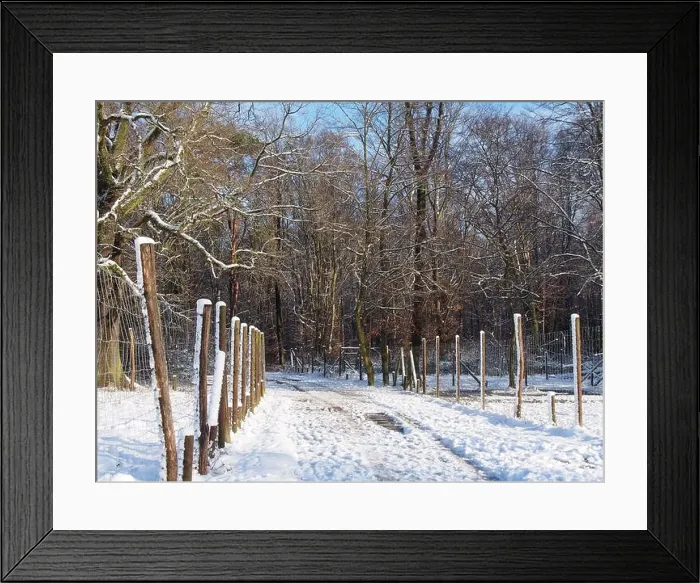 Framed Print : 2s4dc1n Framed Print : 2s4dc1n