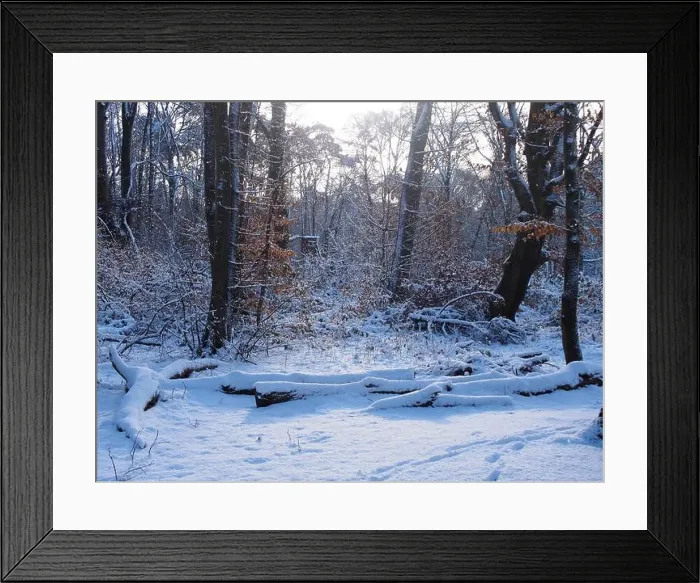 Framed Print : 2s4dc3j