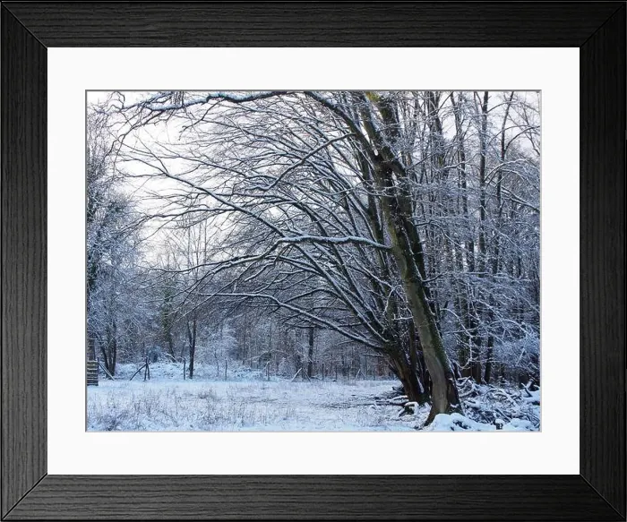 Framed Print : 2s4dc3x Framed Print : 2s4dc3x