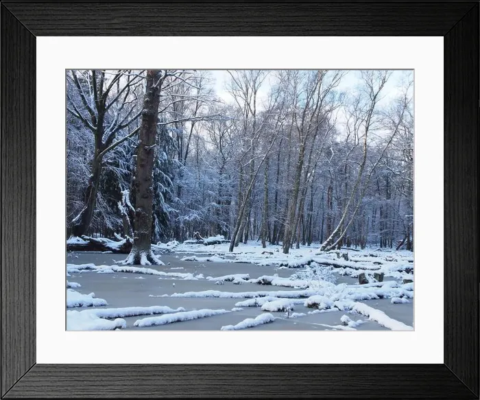 Framed Print : 2s4dc47