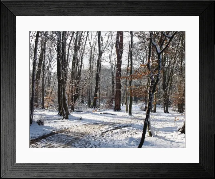 Framed Print : 2s4dc5m Framed Print : 2s4dc5m