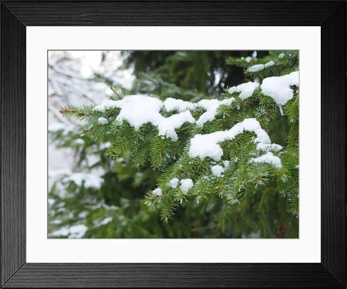 Framed Print : 2s4dc63 Framed Print : 2s4dc63