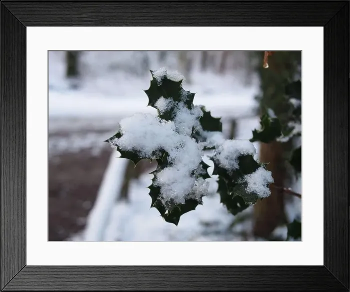Framed Print : 2s4dc6w Framed Print : 2s4dc6w
