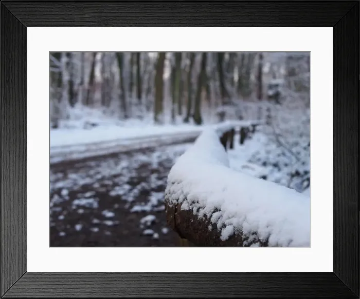 Framed Print : 2s4dcap
