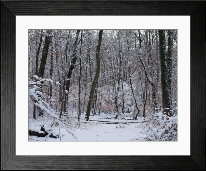 Framed Print : 2s4dcbb