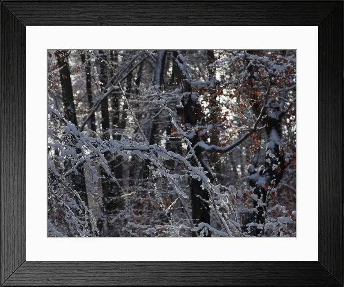 Framed Print : 2s4dccd Framed Print : 2s4dccd