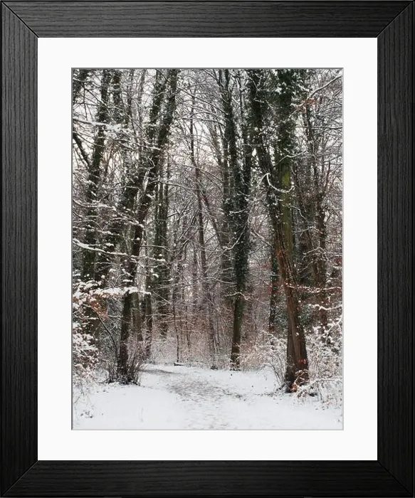Framed Print : 2s4dccp Framed Print : 2s4dccp