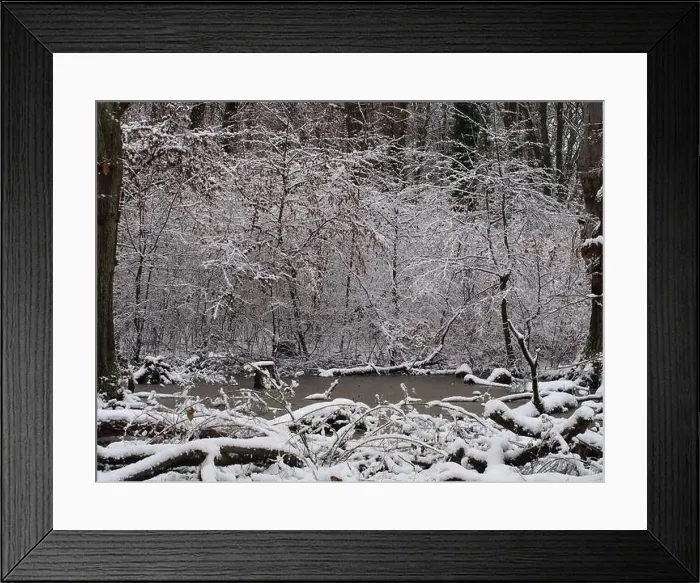 Framed Print : 2s4dcd5 Framed Print : 2s4dcd5