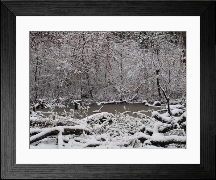 Framed Print : 2s4dcdc Framed Print : 2s4dcdc