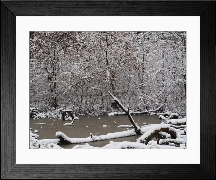 Framed Print : 2s4dcet Framed Print : 2s4dcet