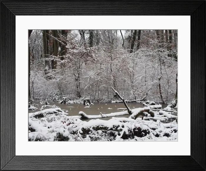 Framed Print : 2s4dcf3 Framed Print : 2s4dcf3