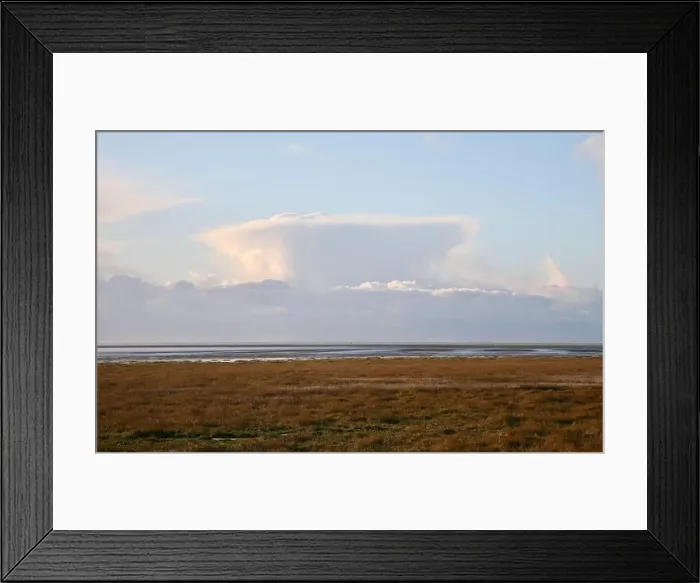 Framed Print : 2s4dh80 Framed Print : 2s4dh80