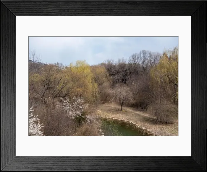 Framed Print : 2s4ey7y Framed Print : 2s4ey7y