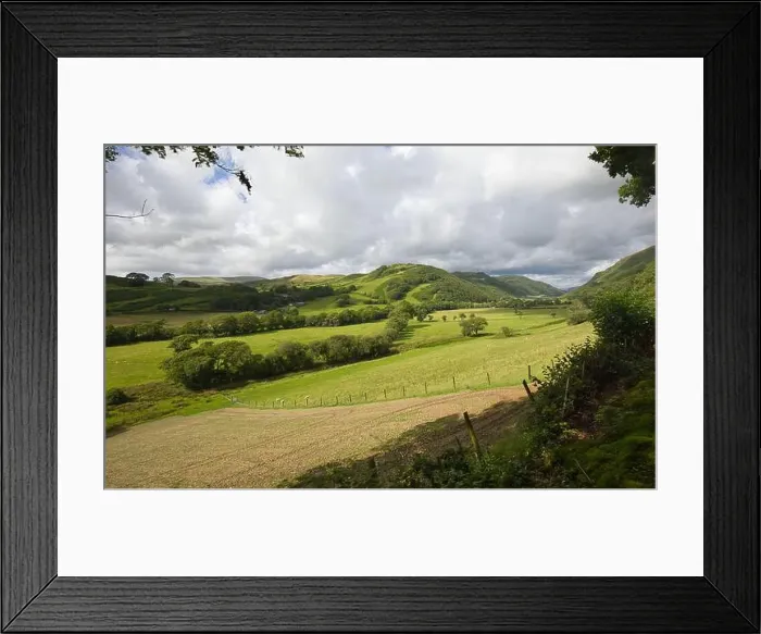Framed Print : 2s4fyaf Framed Print : 2s4fyaf