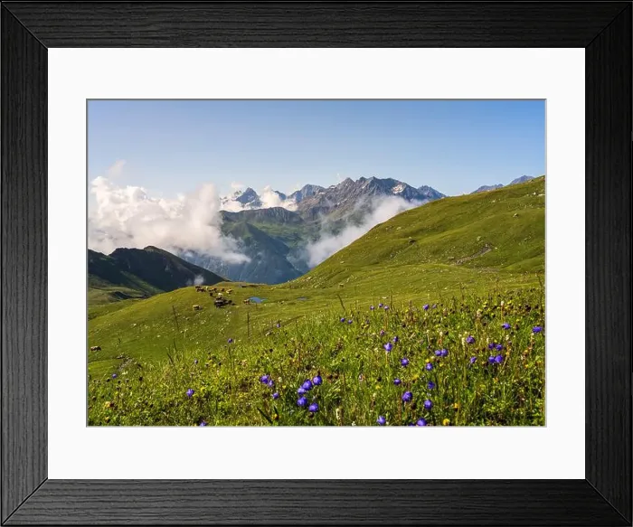 Framed Print : 2s4h4a6 Framed Print : 2s4h4a6